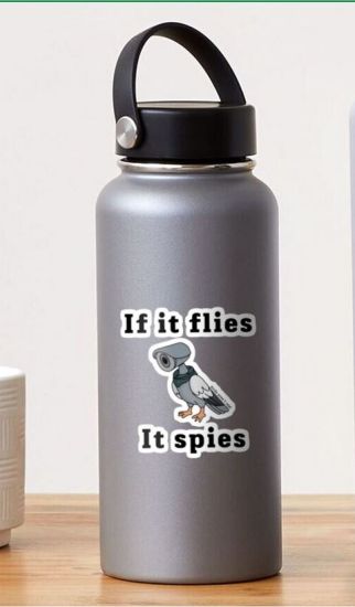  If it flies, kis matrica